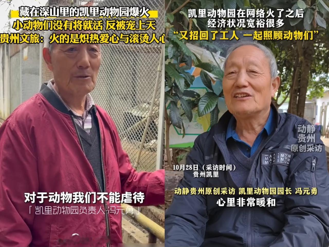 “这下彻底解释不清啦！”
凯里动物园园长咋也没想到，
自己就这么突然爆火

网友