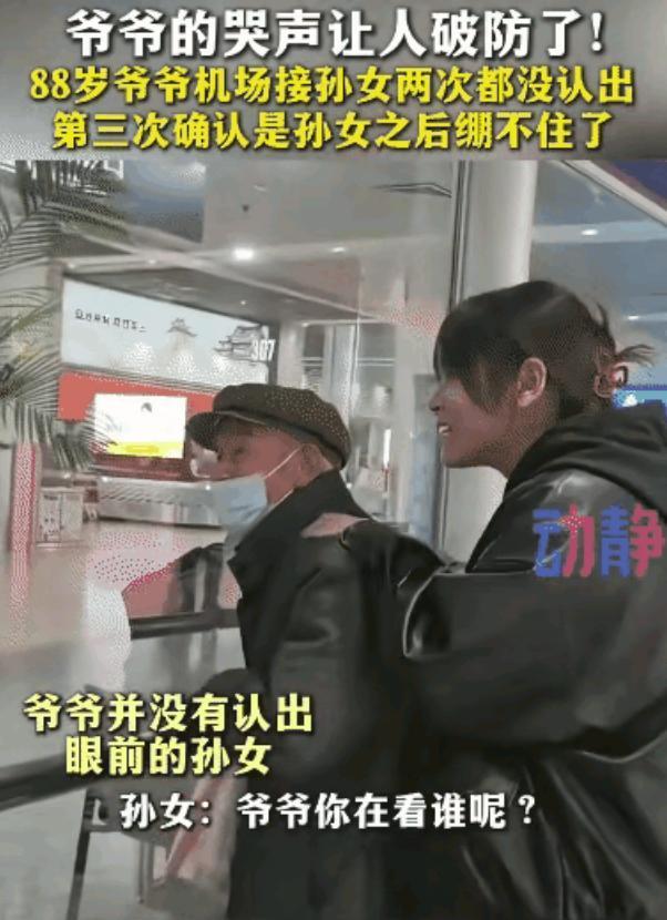 陕西，88岁的爷爷听说孙女从外地回来，坚持要去机场接机。没想到因为太长时间没见，