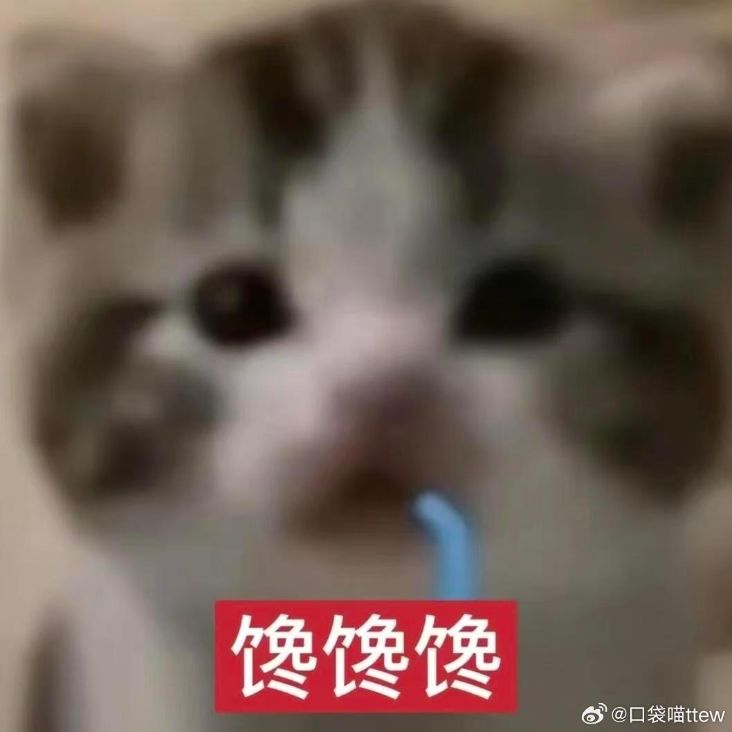 鸡枞菌最伟大的吃法出现了 好多人分不清鸡枞品种，原来骨朵菌子主打一口鲜甜，爆炒清