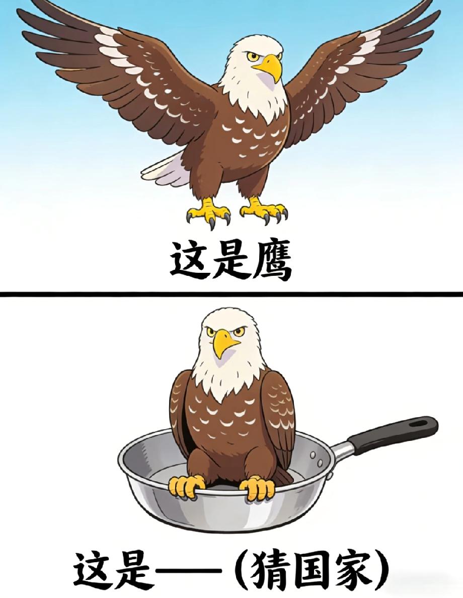 绝了！鹰在锅里猜国家，答案太脑洞，90%的人第一反应都错了