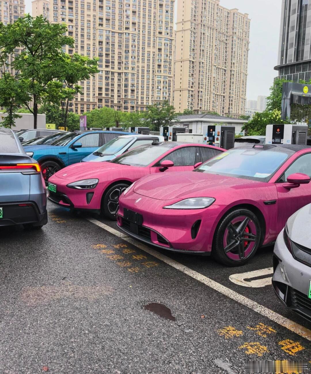 璀璨洋红还是比较好看的