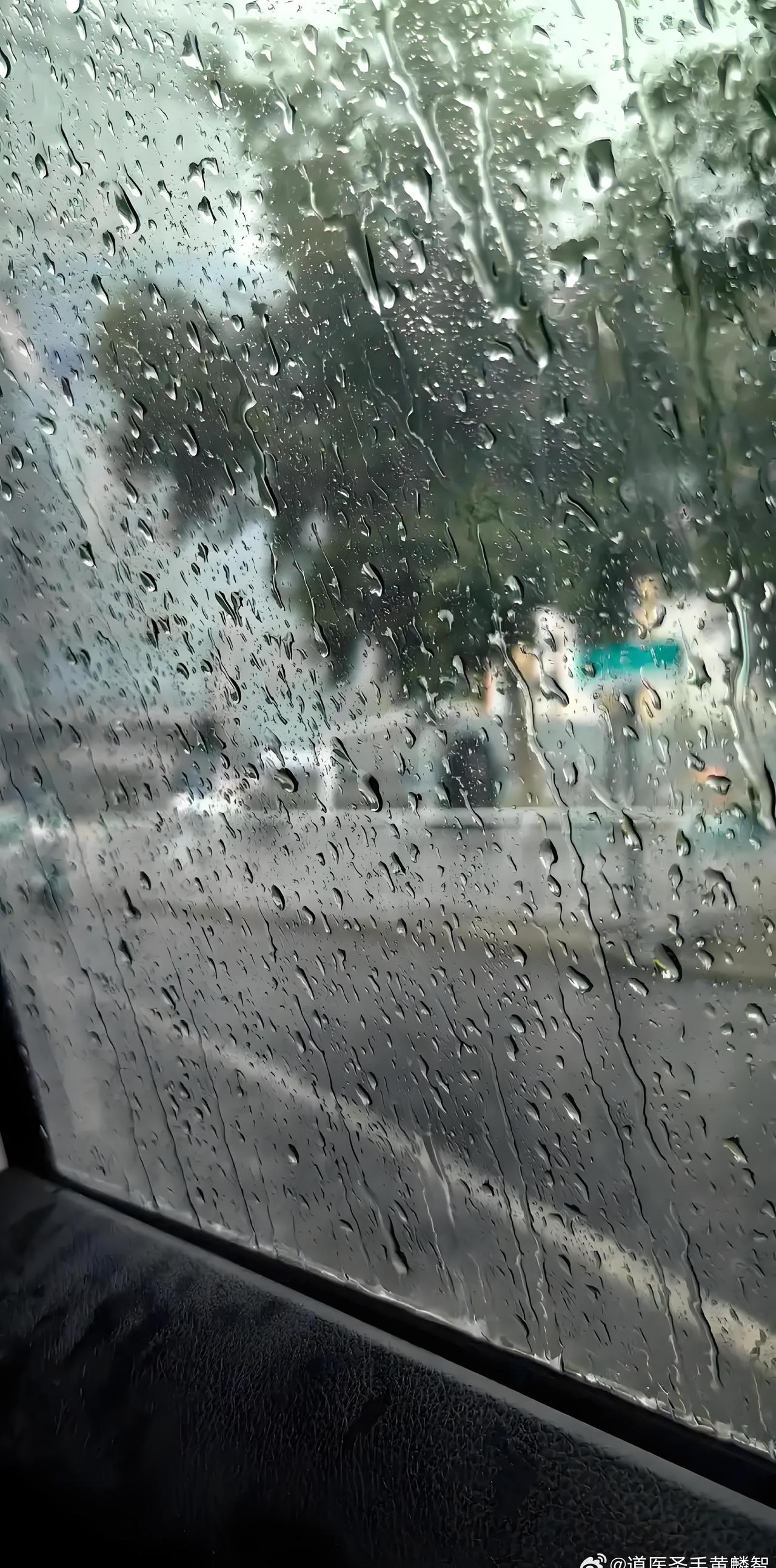 一连下了许多天雨。暴雨，大雨，小雨，轮番上阵，天地湿漉漉一片，随手抓一把空气，能