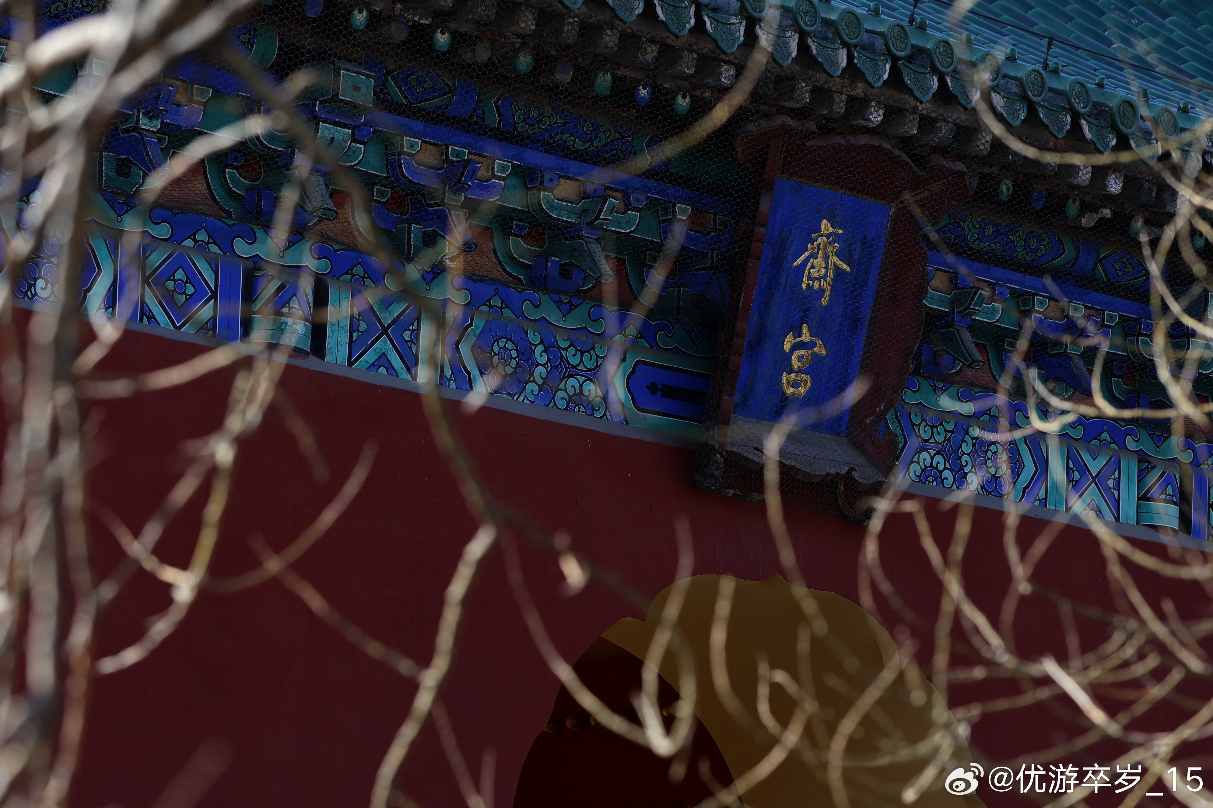 我的2026 最偏爱这样的晴天，去天坛走走。看枯枝勾勒天际线，看斋宫蓝匾在红墙间