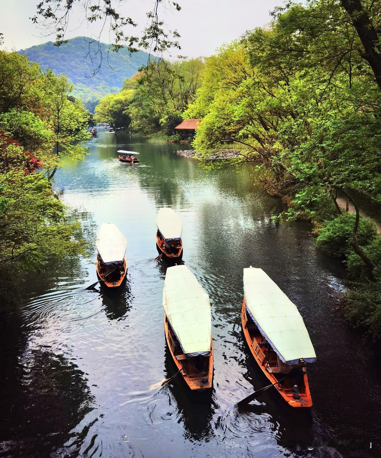 晒晒杭州近郊湖景随拍杭州西湖杨公堤旁浴鹄湾景区，有小西湖之称，这里人少景美，景点