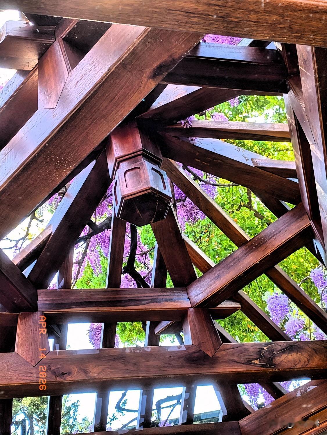 顶上紫藤花
垂挂狮子林
带定位晒今日生活紫藤屋顶 
我的今日状态：😁轻松愉快