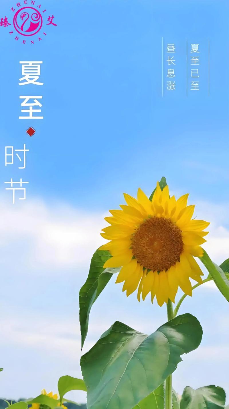 很多老年人一到夏天，就总觉得燥热难耐，动不动就心烦易怒，血压跟着忽高忽低。还有不