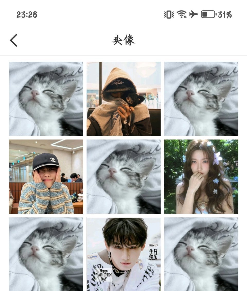 小猫真爱粉