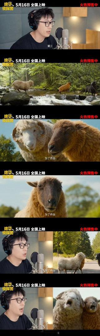 绵羊侦探团中文配音阵容电影绵羊侦探团打破次元壁垒，演员跨界声动演绎，细腻拿捏角色