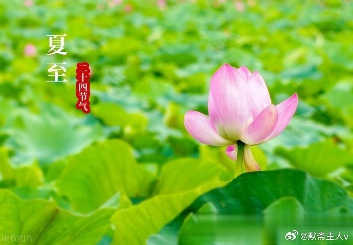 这就是涵养·默斋主人原创散文那日在街边小店，撞见一桩小事：一位客人不慎碰倒邻桌的