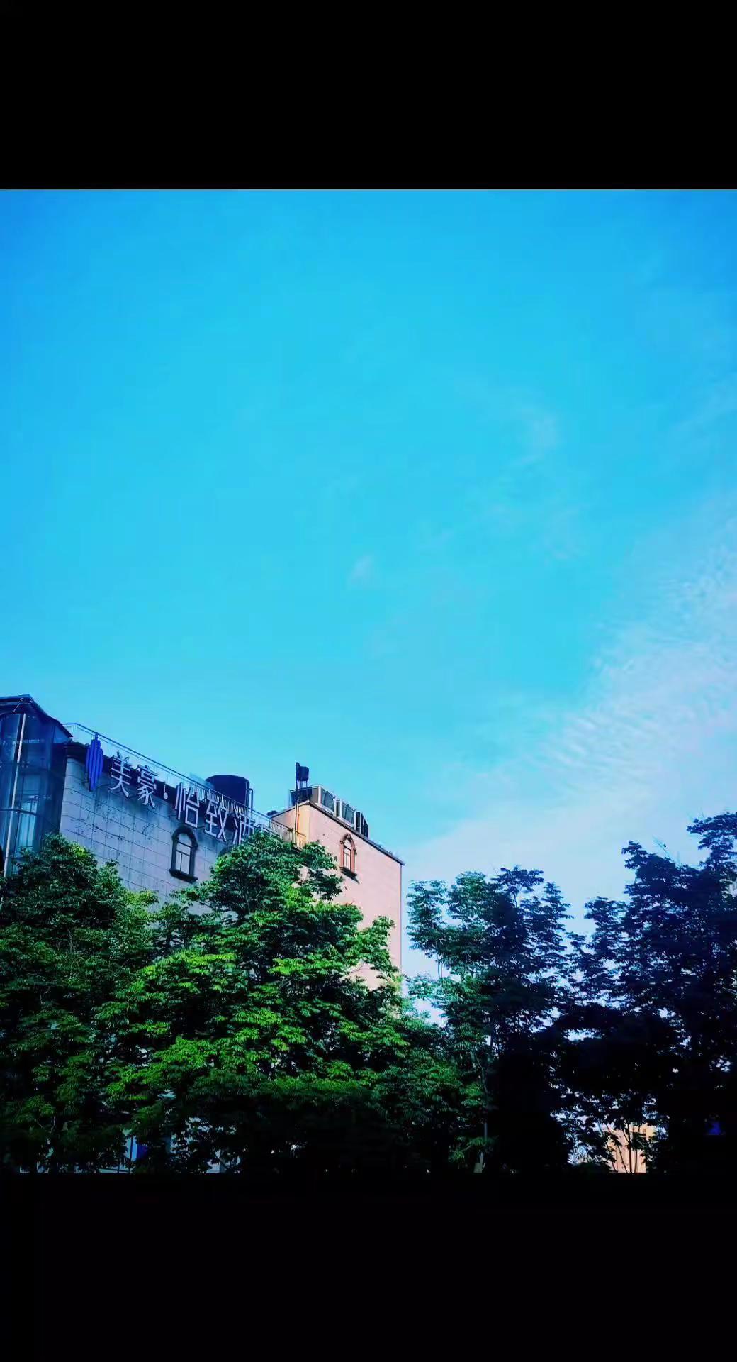这两天做梦老梦见鬼……树与天空美照 随手拍天空文案 城市风景夏日景色 行走在夏季