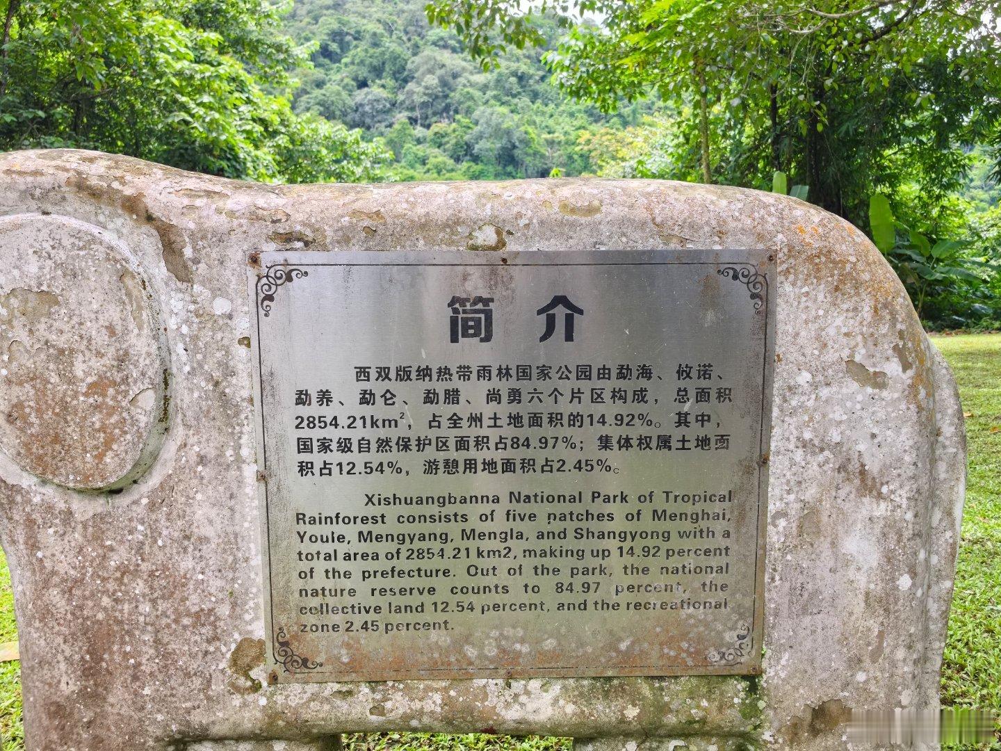 在热带植物园走，身边经过很多小组合，我零碎且被动地听了一堆，我分享一下免费听到的
