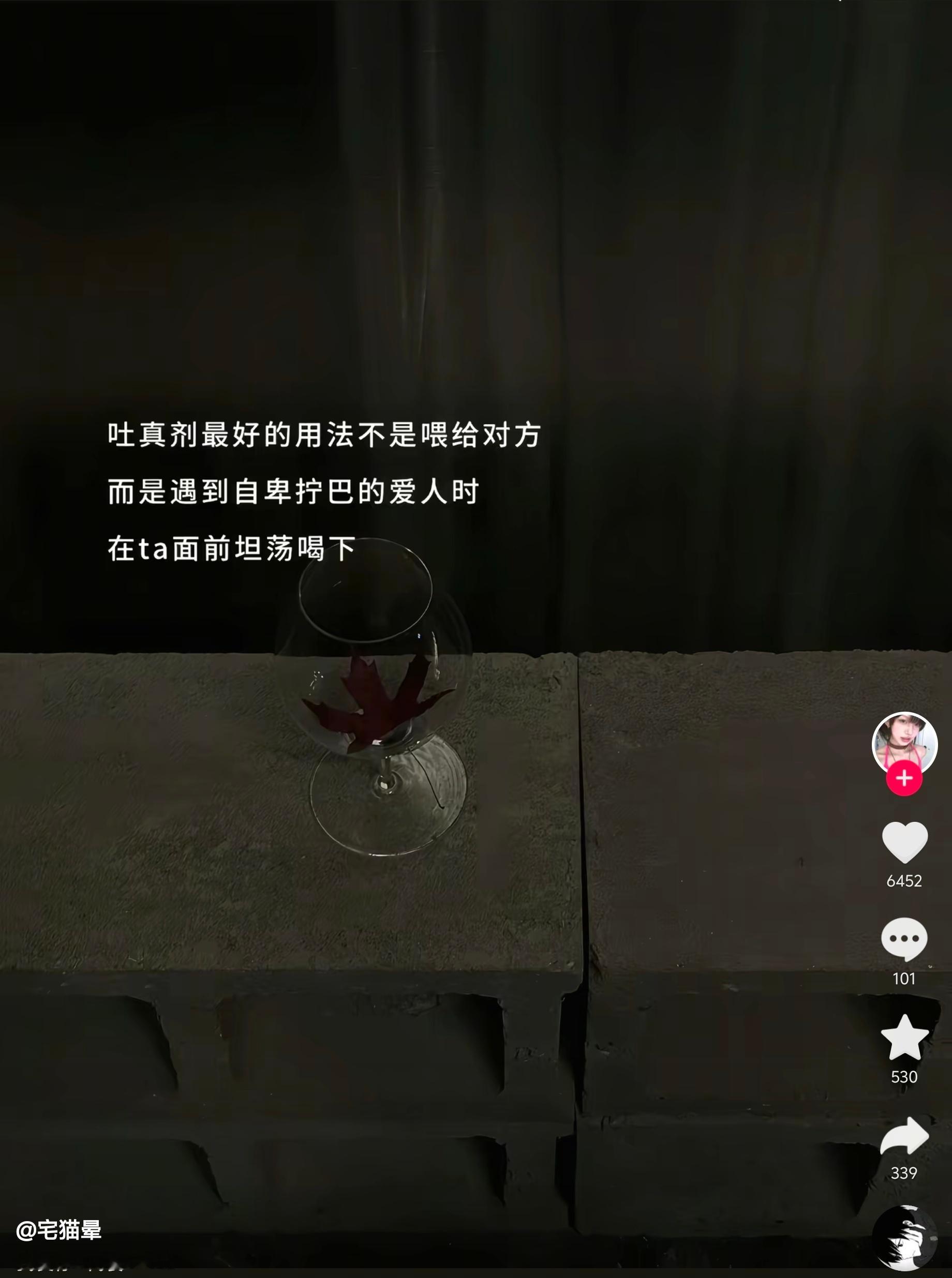 沈文琅江衡需要。前者自卑后者拧巴。 