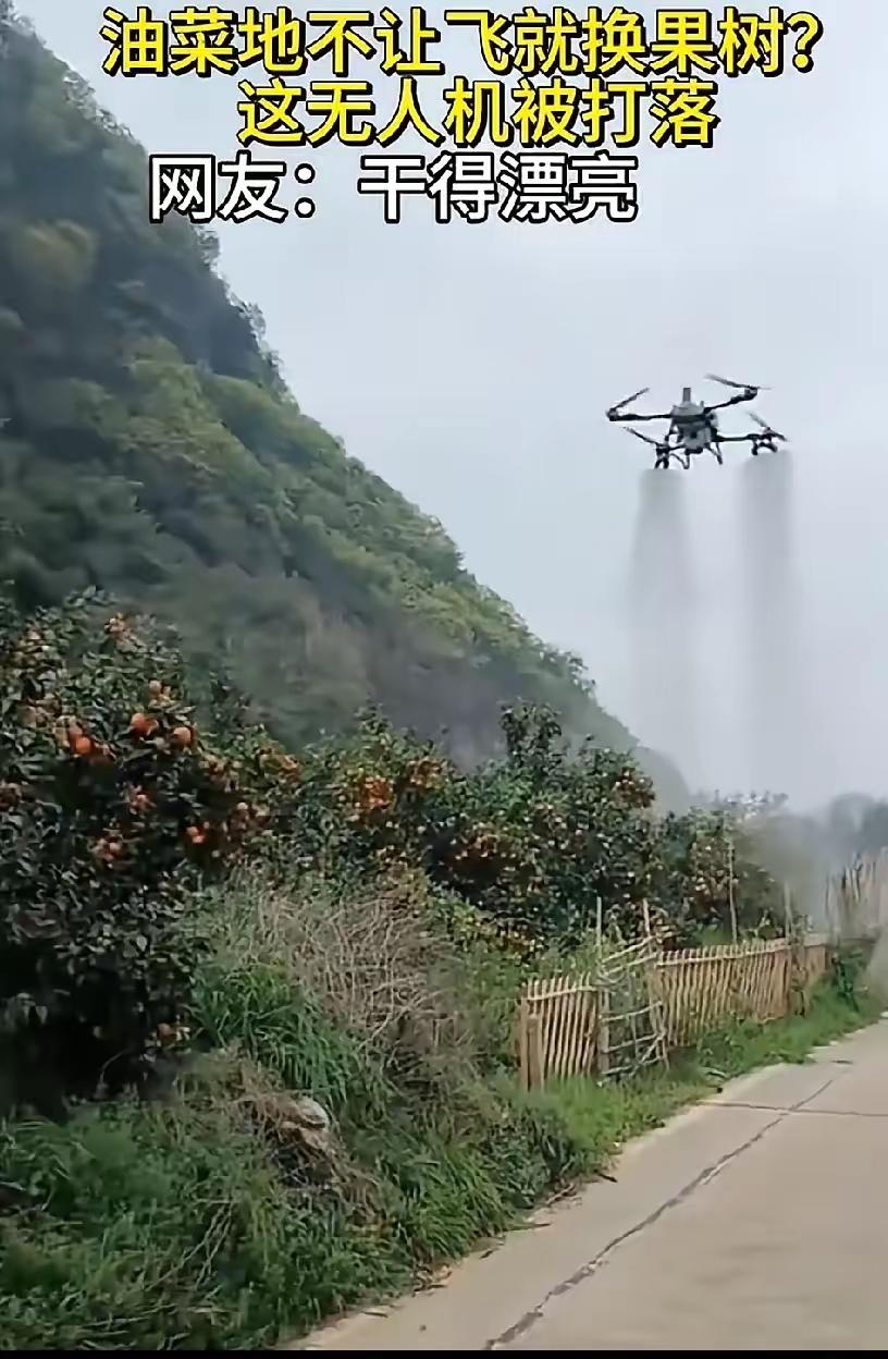 干的好！
 
不知道有些人究竟在想什么，没有人邀请你去给他们打药，而主动的用无人