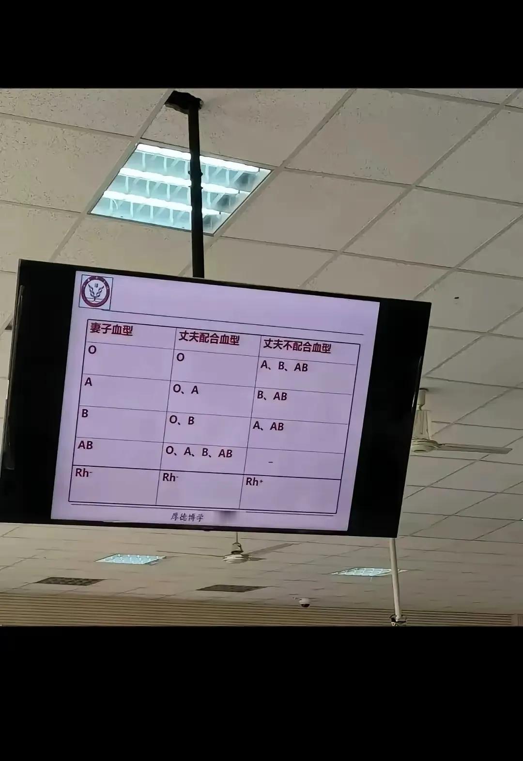 看懂了不？