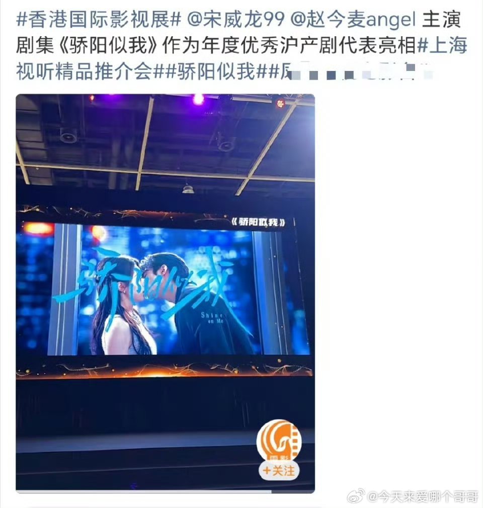 许我耀眼 骄阳似我 被选为年度优秀沪产剧代表 