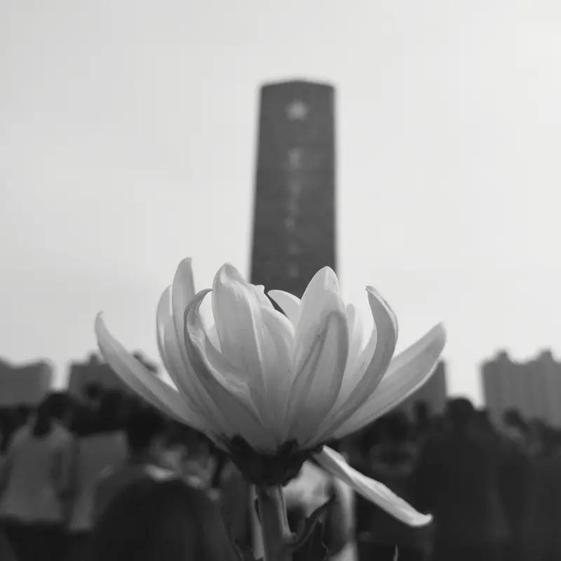 这大概就是每个中国人应该做的事！以实际行动来告慰英烈的英勇无畏的付出换来的今天生