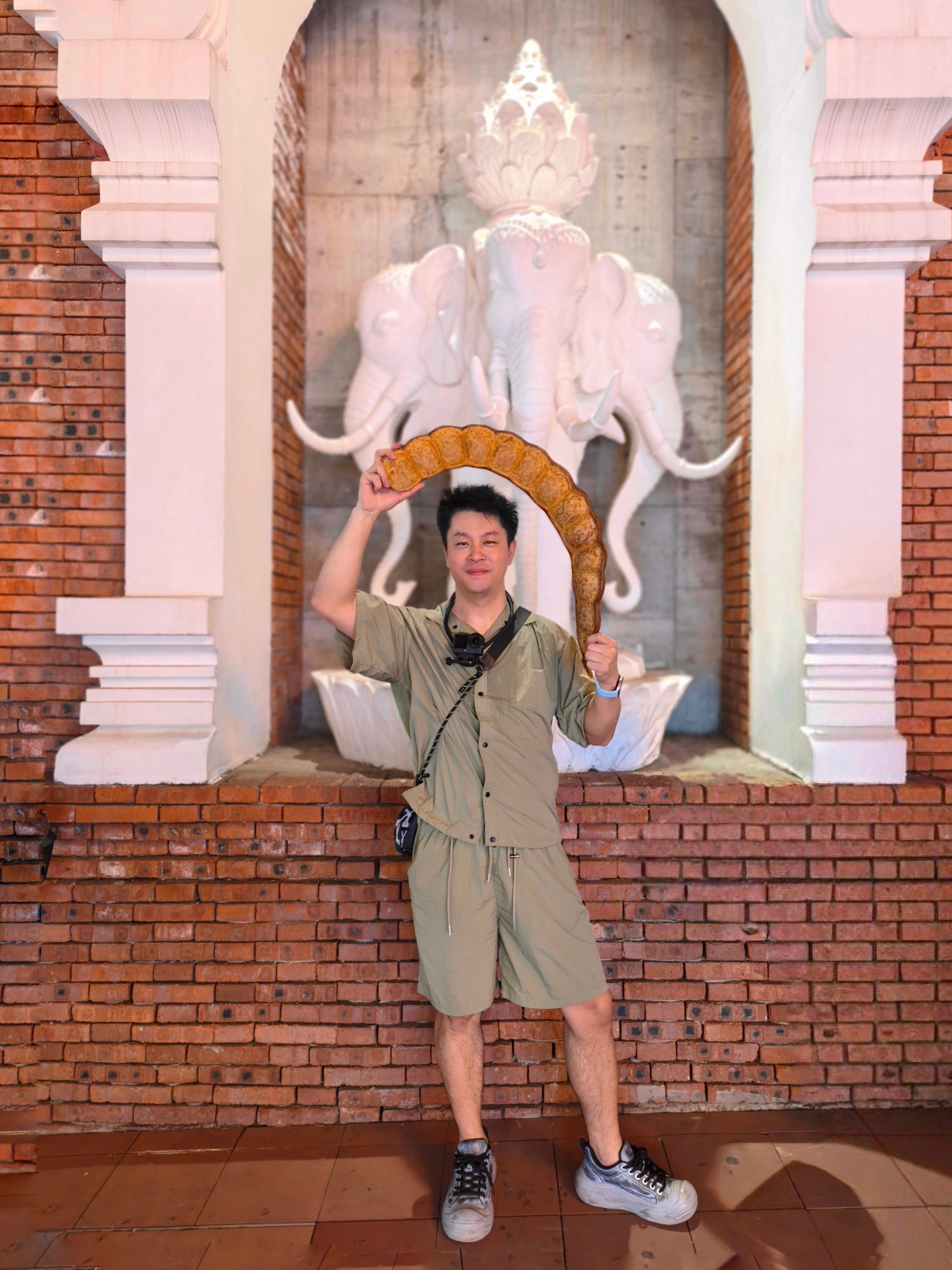 云南大豆荚已拾取～🫛 西双版纳