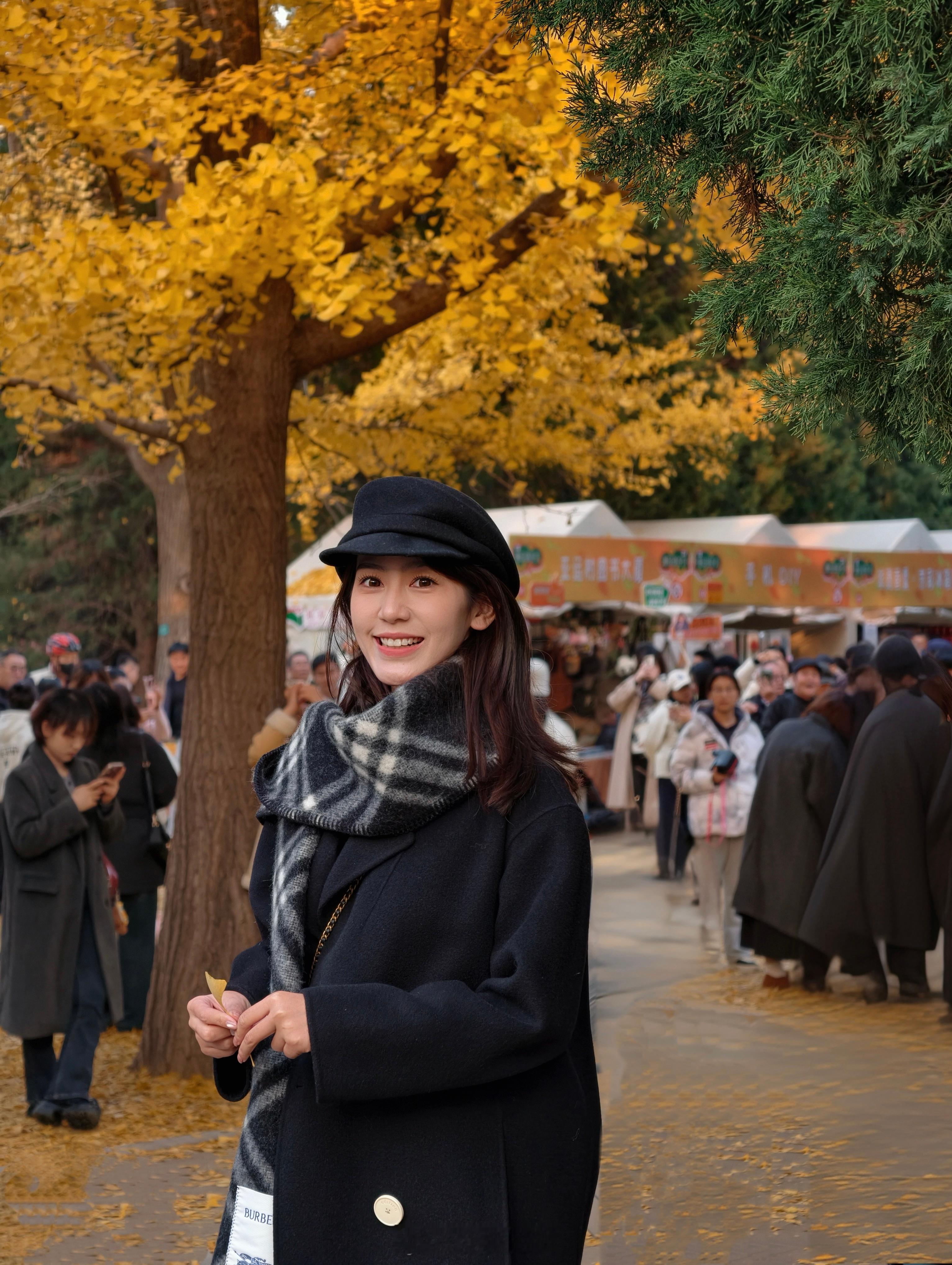 早今天感受一下金色的北京 