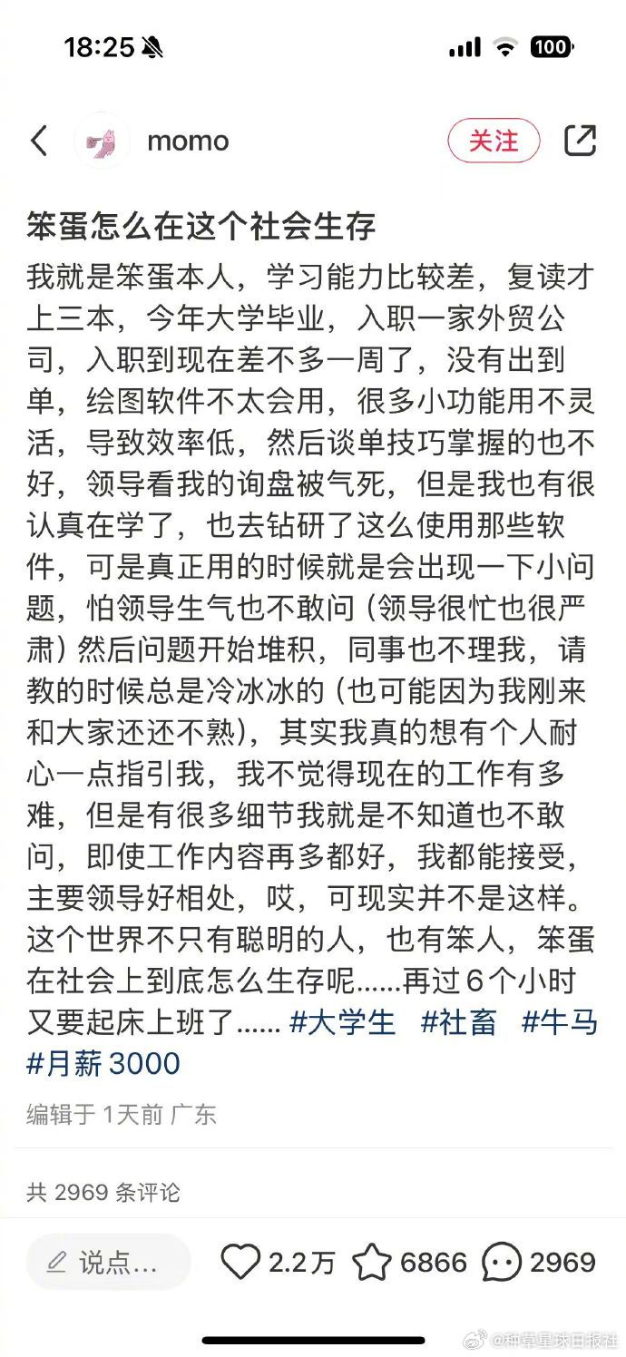 #笨蛋怎么在这个社会生存#在简单的生活中做一些简单的工作也未尝不可，或者不断付出