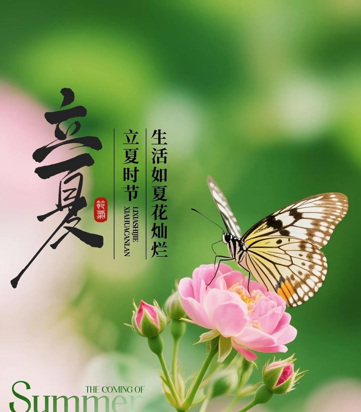 今天立夏，农历三月十九，标准的早立夏。
老辈人传下来的话，有时候还真得听听。早立