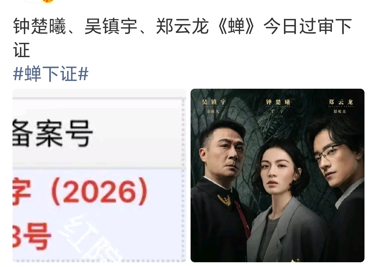 钟楚曦资源真的挺好，剧一直扑，一直有戏拍