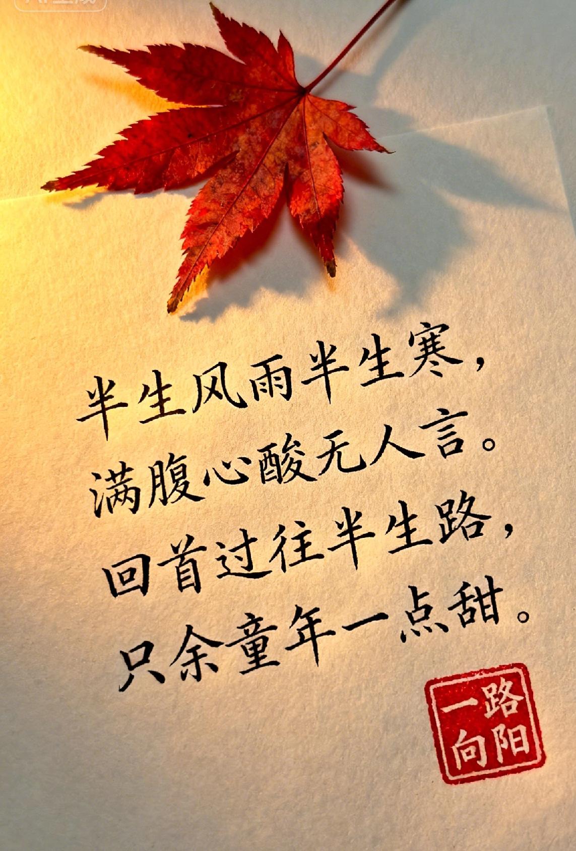 人这一辈子
别总抱怨日子难
那些让你皱过眉
熬过夜的不容易
才是人生最金贵的底色