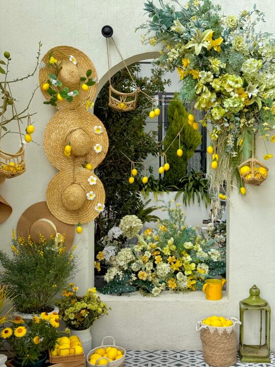 大理🍋柠檬树下🌳远桃花园民宿🫐