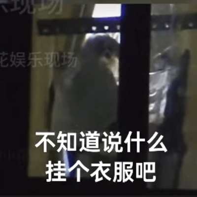 连内裤都不让艺人带的癫综出现了综艺宣热搜词条为什么要带🩲俩字，不知道梓渝粉丝会