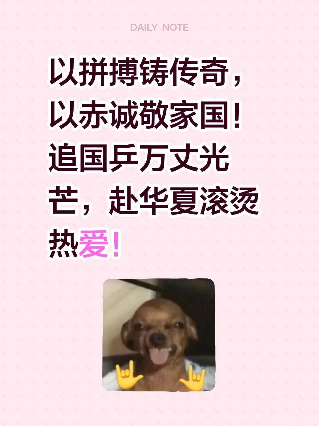 我评论了@孙员女 的作品：
以拼搏铸传奇，以赤诚敬家国！追国乒万丈光芒，赴华夏滚
