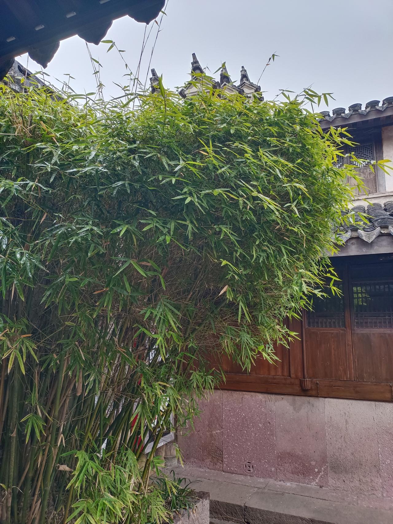 纯电车充电真能像加油一样快吗？一场试驾给出了答案。
近日，全新腾势Z9GT在上海