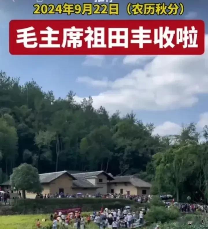 9月22日那天是秋分节气。在湖南韶山毛主席老家祖田喜获丰收啦！当地驻军战士与乡亲