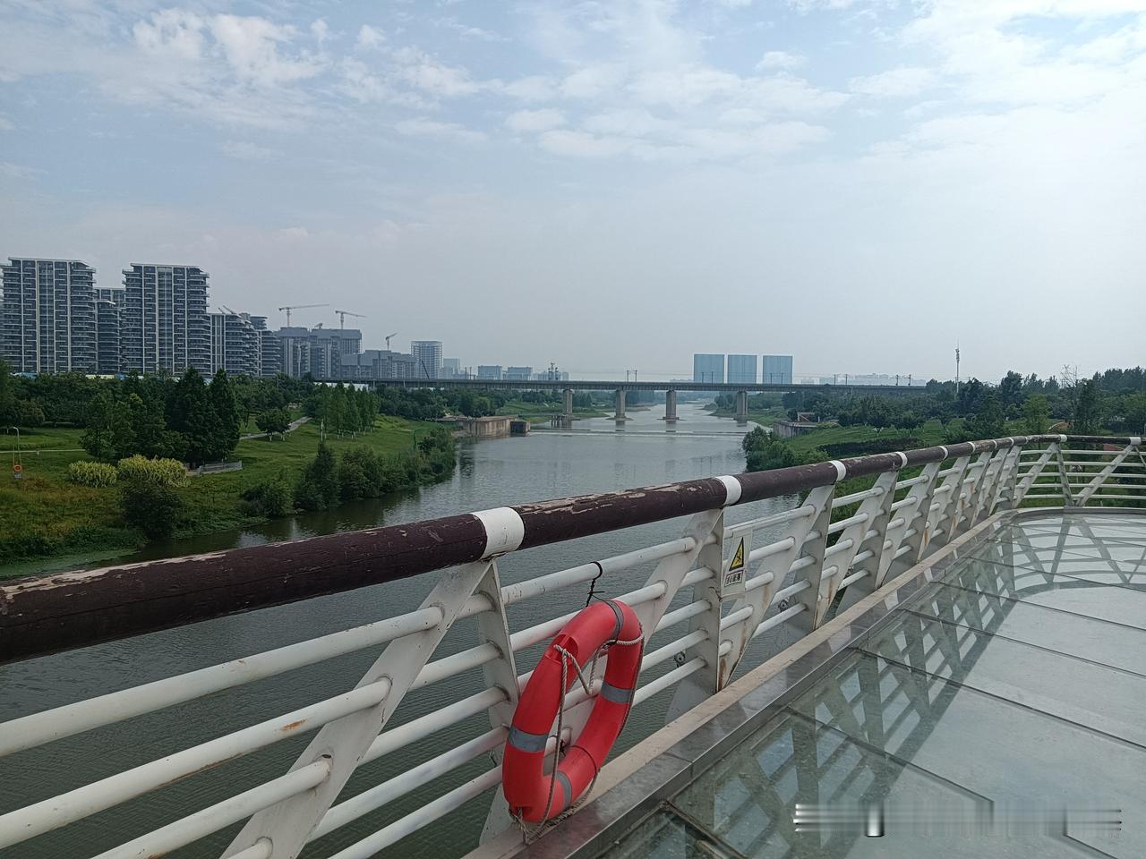 这是我今天下午4点多在咸阳秦都区沣河金湾公园里拍的“写真”。从沣渭两河交汇的白鹭