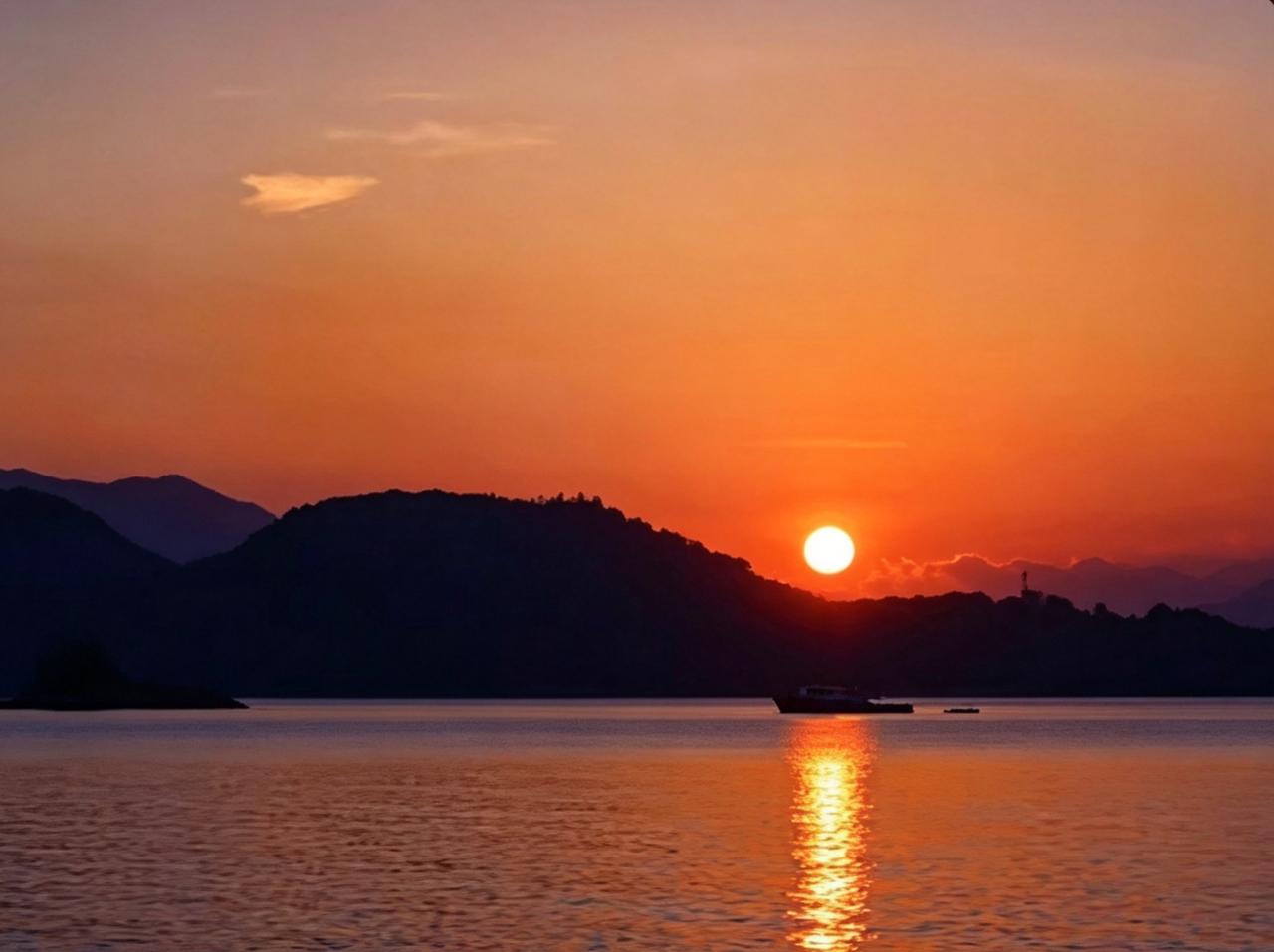 分享一张最近随手拍的照片