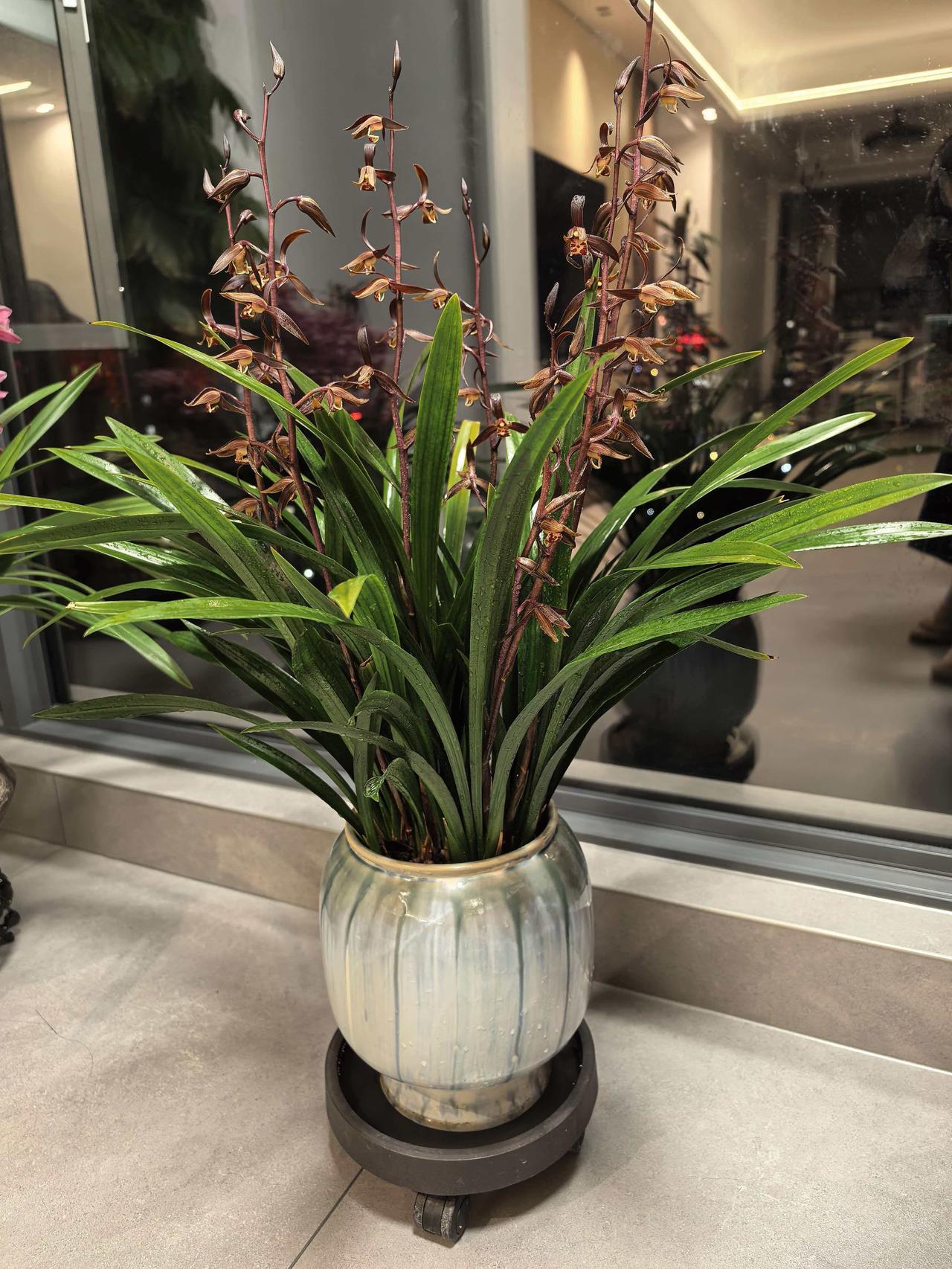 今年春天最想实现的心愿我和亲朋好友健康平安，我爆富