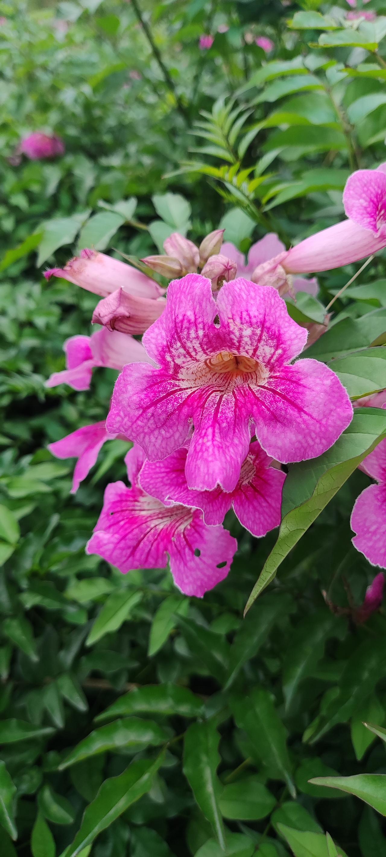 香港八十八岁的大姑，不申请4000余元的养老金，活得潇洒又快乐。
我香港大姑今天