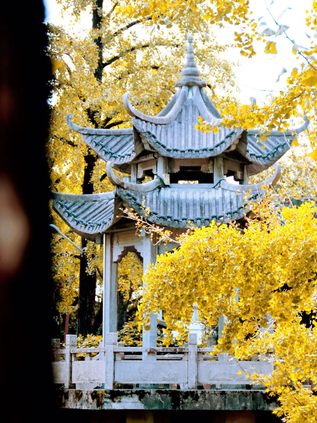 长兴八都岕两天一夜赏秋攻略！手把手教你玩