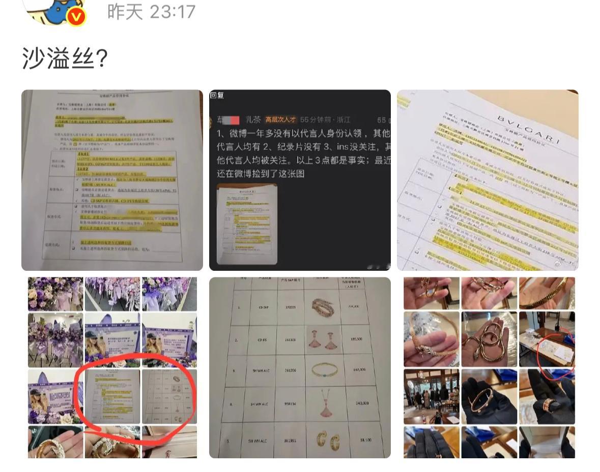 你们看到这个了吗是出借的