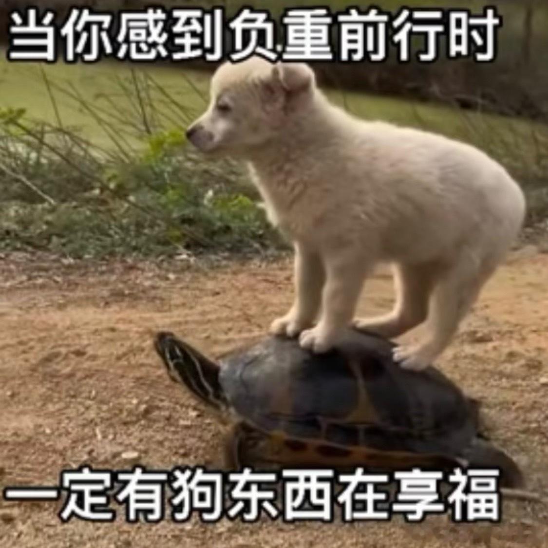 GMM与当事人和解别上升我偶像………那你发出来维权干吗？两天闹麻了，以后谁敢再帮