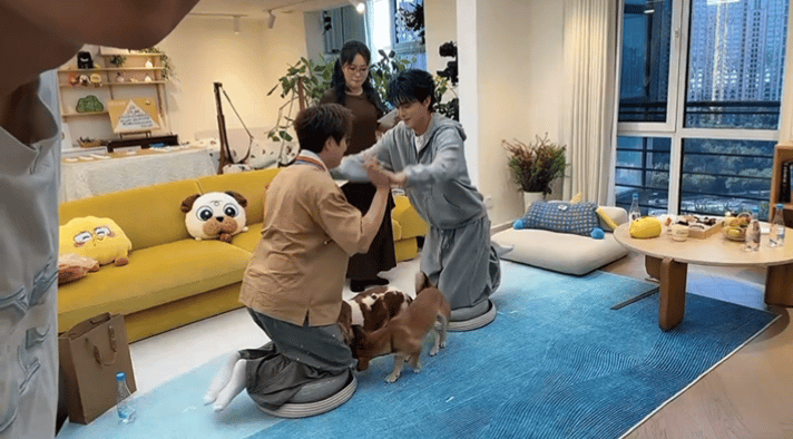 毛不易差点让张呈工伤毛不易张呈推手受伤的是李雪琴毛雪汪名场面！毛不易张呈玩推手，
