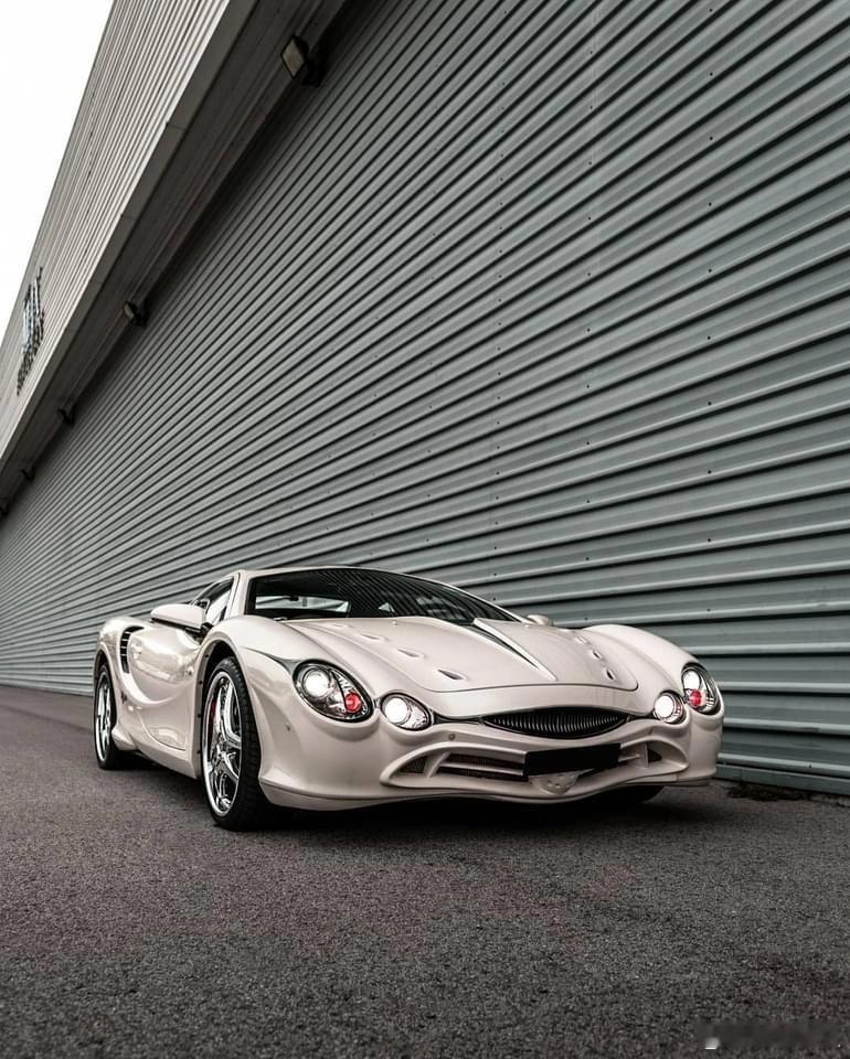 懂的人自然懂🤫 光冈大蛇 ，日本第十家认证车厂出品的魔幻现实主义超跑。仿生蛇脸