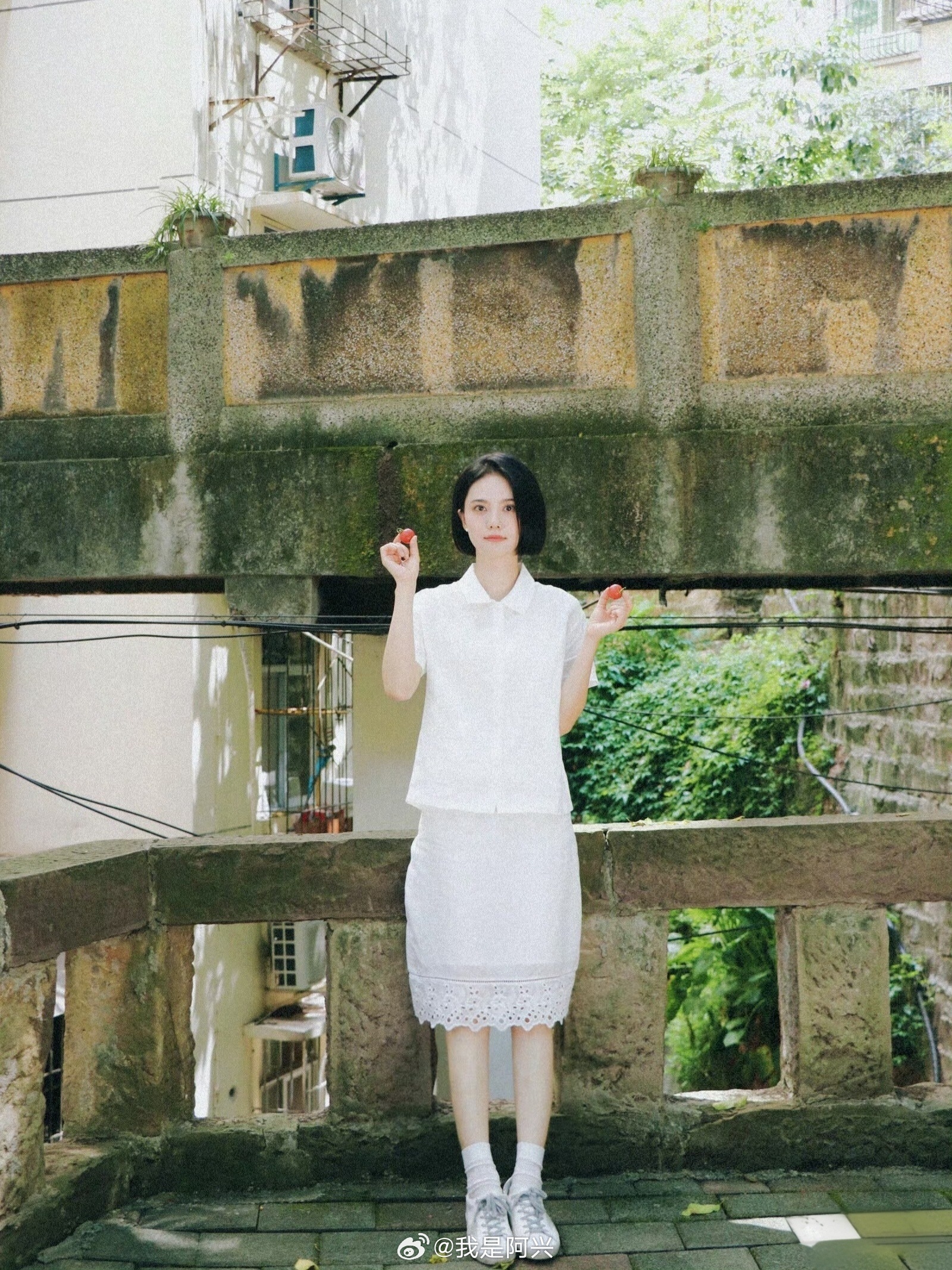 早☀️每日早起打卡