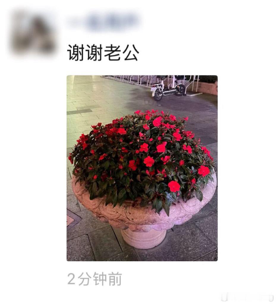分享图片 