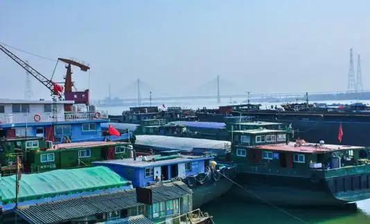 强烈谴责！
5月11日，韩国总统府国家安保室长魏圣洛在总统府青瓦台表示，公开严厉