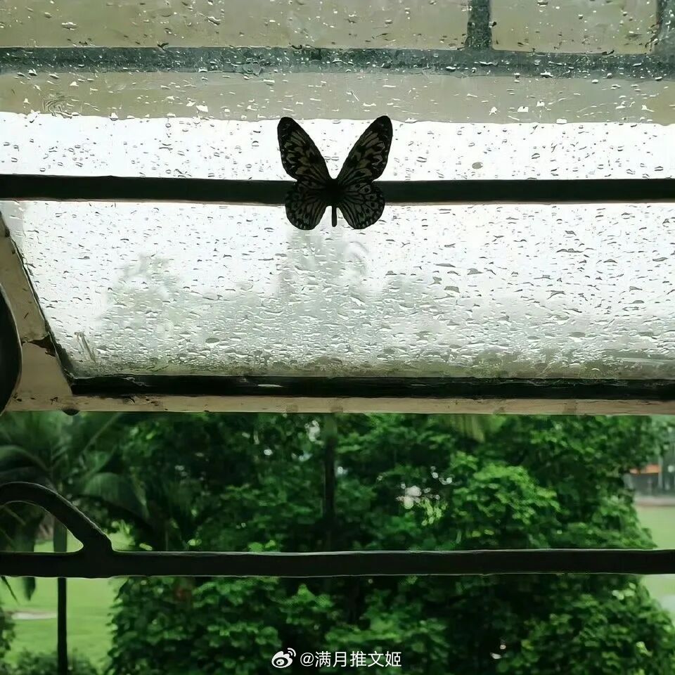 “知道你会一直在某个地方就好了，然后从此以后不喜欢你，海阔天空。”——《骄阳似我