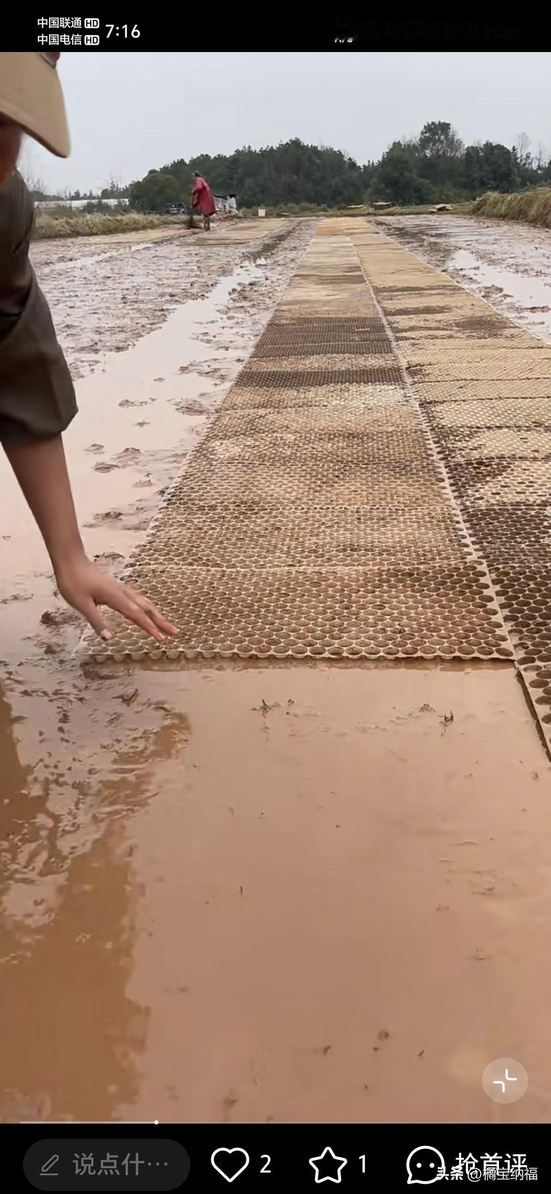 春风一吹，春耕就到了。村里家家户户都忙着下田育秧，田埂上全是忙碌的身影。泡好的谷