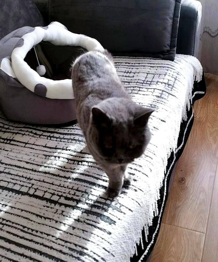 说起我儿子，高富帅占全了
他放弃了家里安排好的路，拿着我给的50万创业款赔了个精