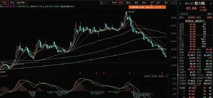 赛力斯最高点173元，跌到61元，跌幅超65%，中途几乎没有波段反弹。很多人疑惑