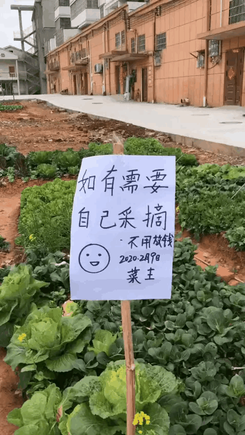好人好事无处不在，略表心意；谢谢你的菜！ ​​​