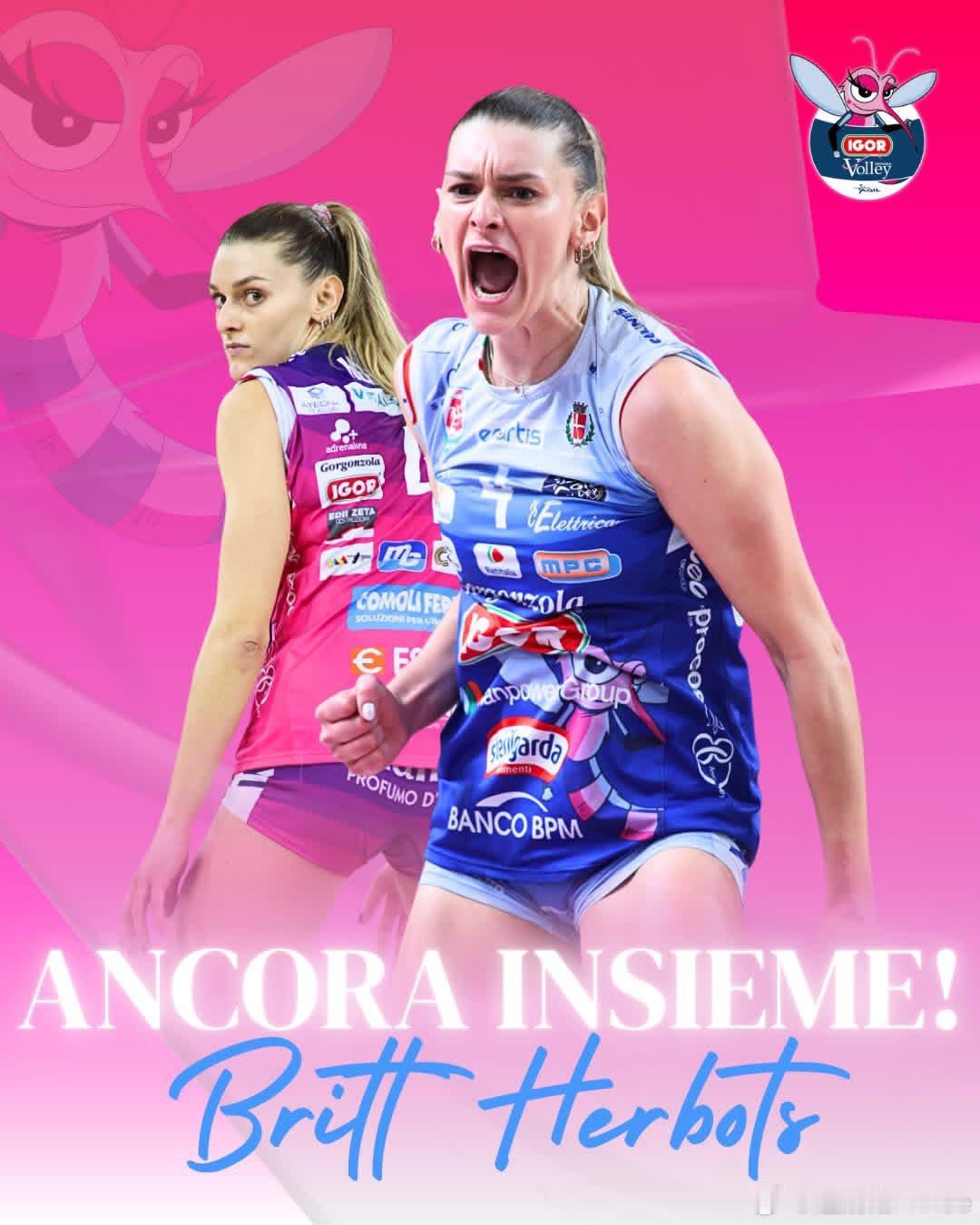 排球 🔵 诺瓦拉女排官方宣布，已与比利时国手布里特.赫伯茨续约。 