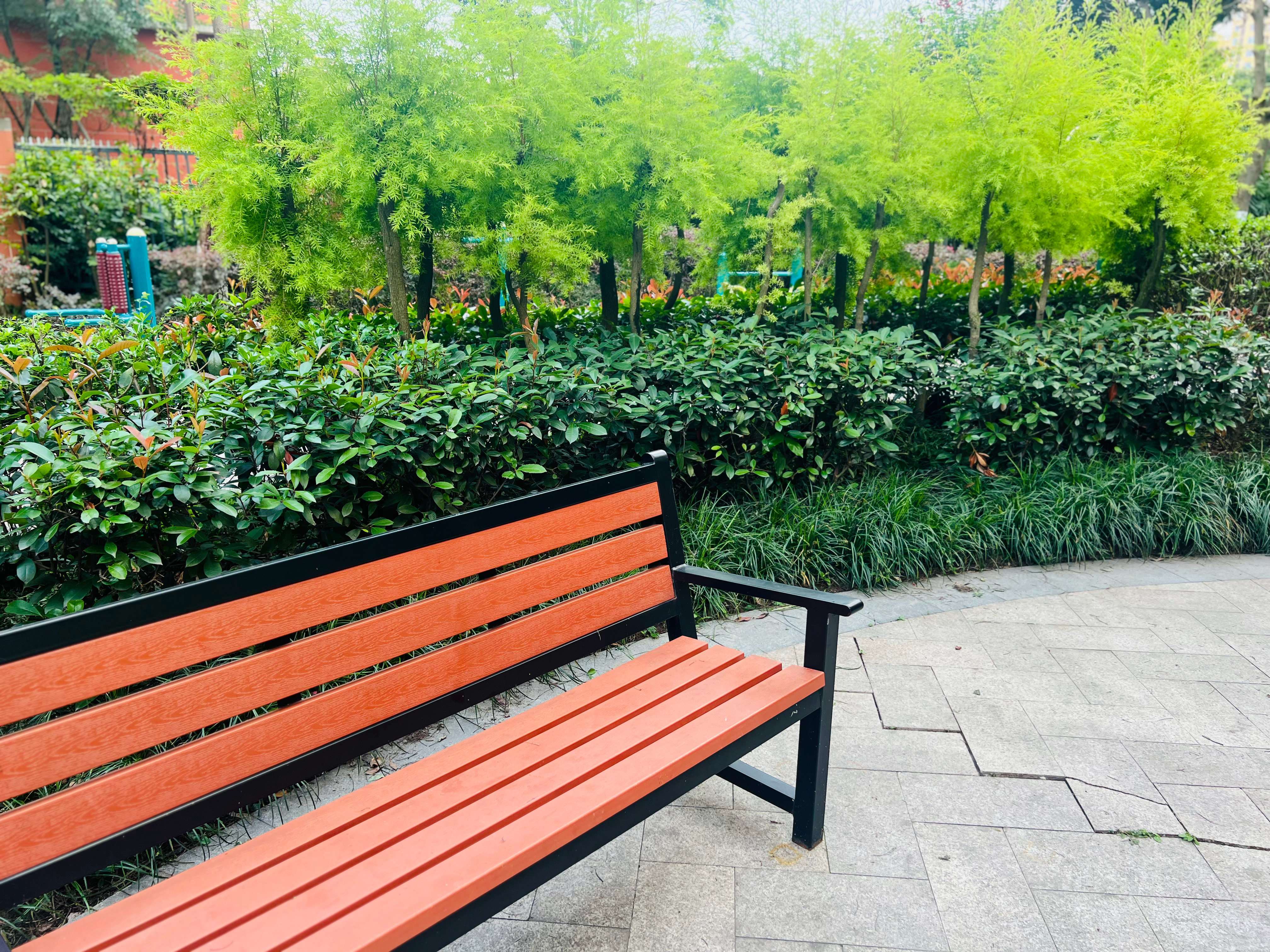 🍃人家的四十岁是世界杯球场上的恣意奔跑，而我的四十岁是小区散步二十分钟，然后瘫